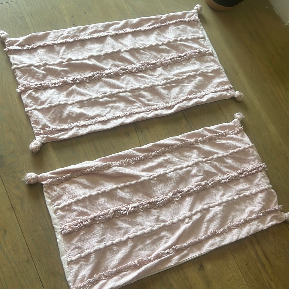 Anthropologie Blush King Shams